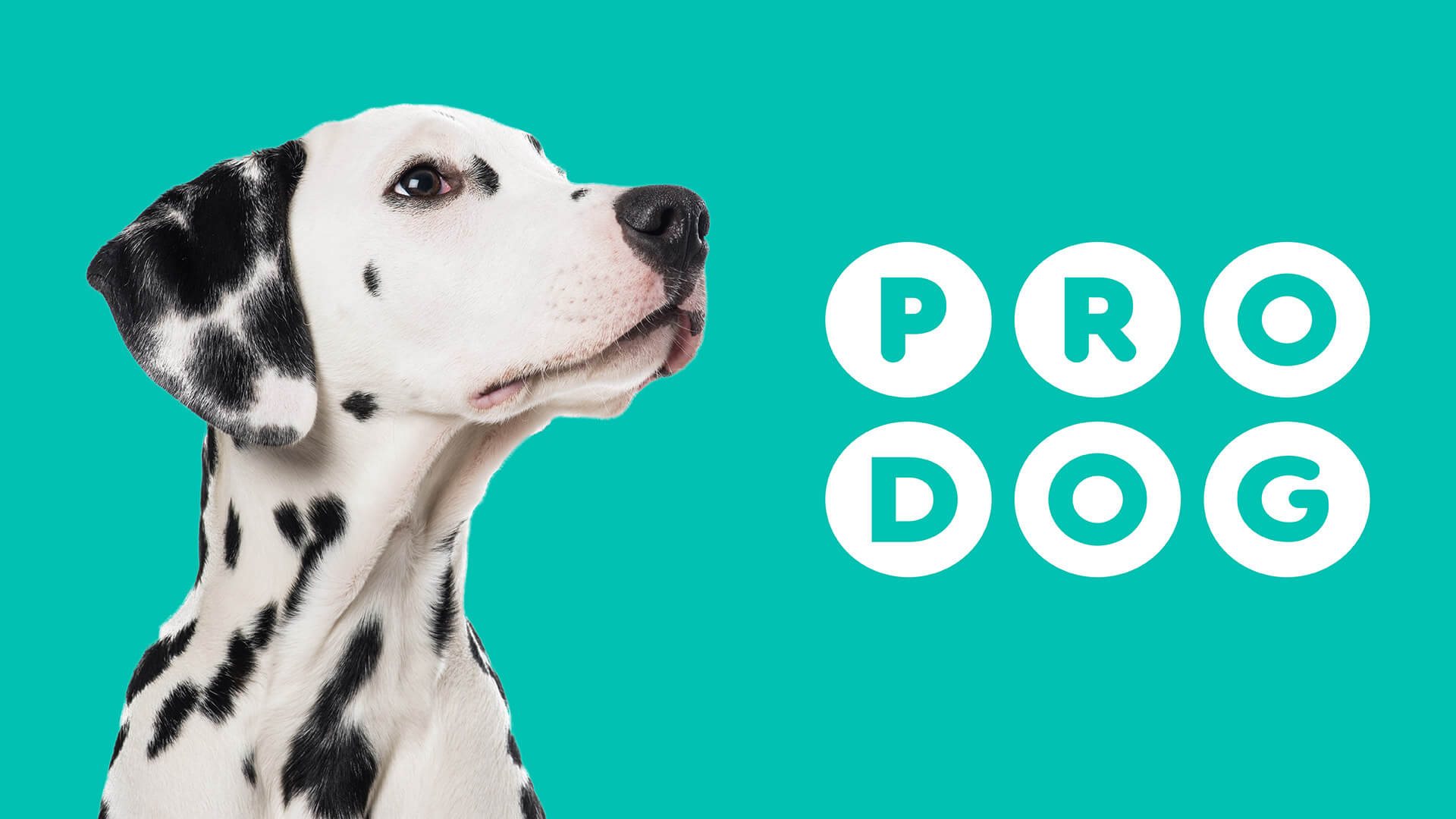 Prodog